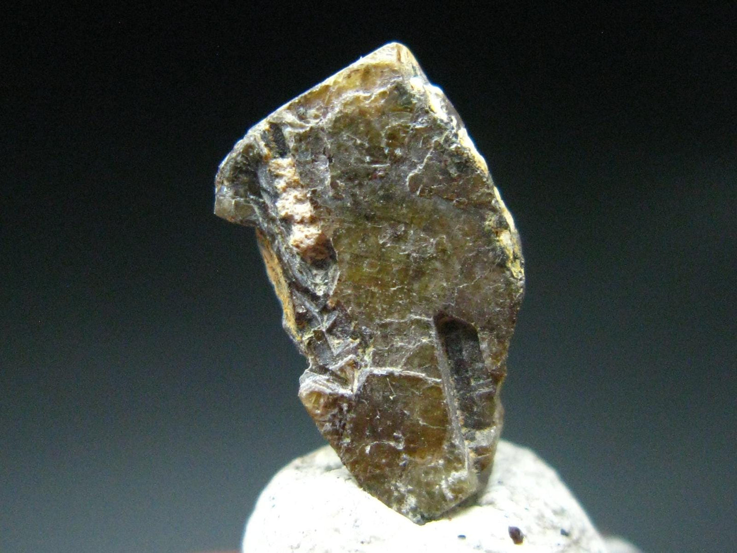 Stibio Tantalite Crystal From Brazil - 0.5" - 8.10 Carats