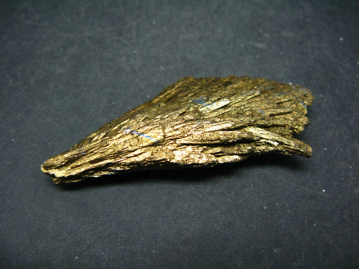 Large Dichroic Kyanite Crystal From Brazil - 2.5" - 15.9 Grams