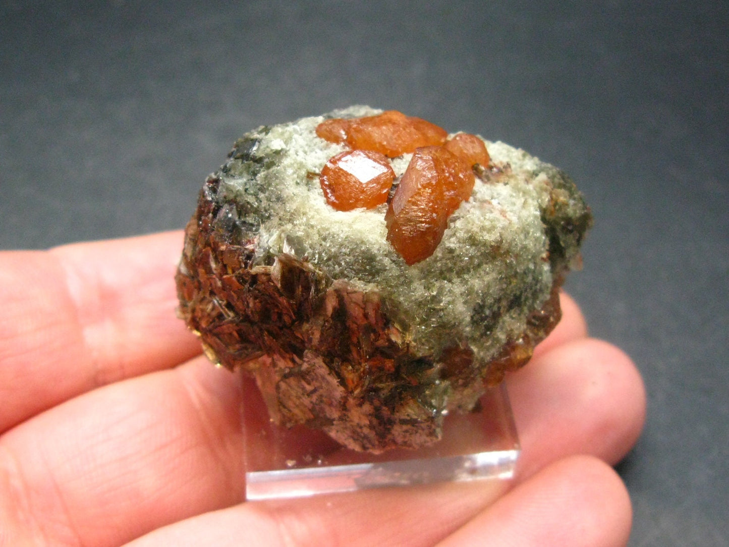 Rare Spessartine Spessartite Orange Garnet Crystal Cluster From Tanzania - 50.3 Grams - 1.7"