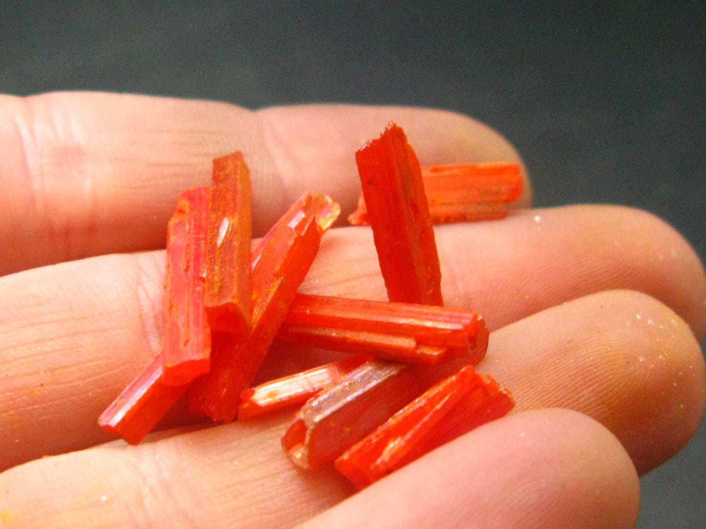 Lot of 10 Orange Crocoite Crystals From Australia - 5.51 Grams