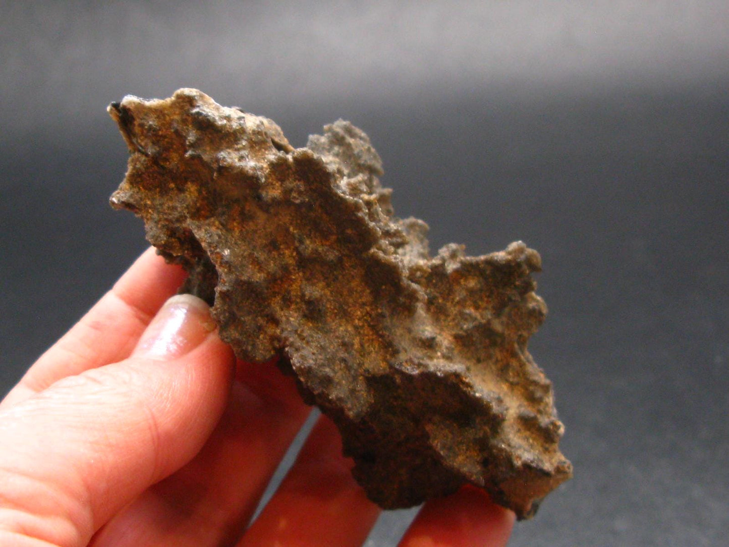 Large Fulgurite Lightning Rock From Sahara Desert - 3.1"