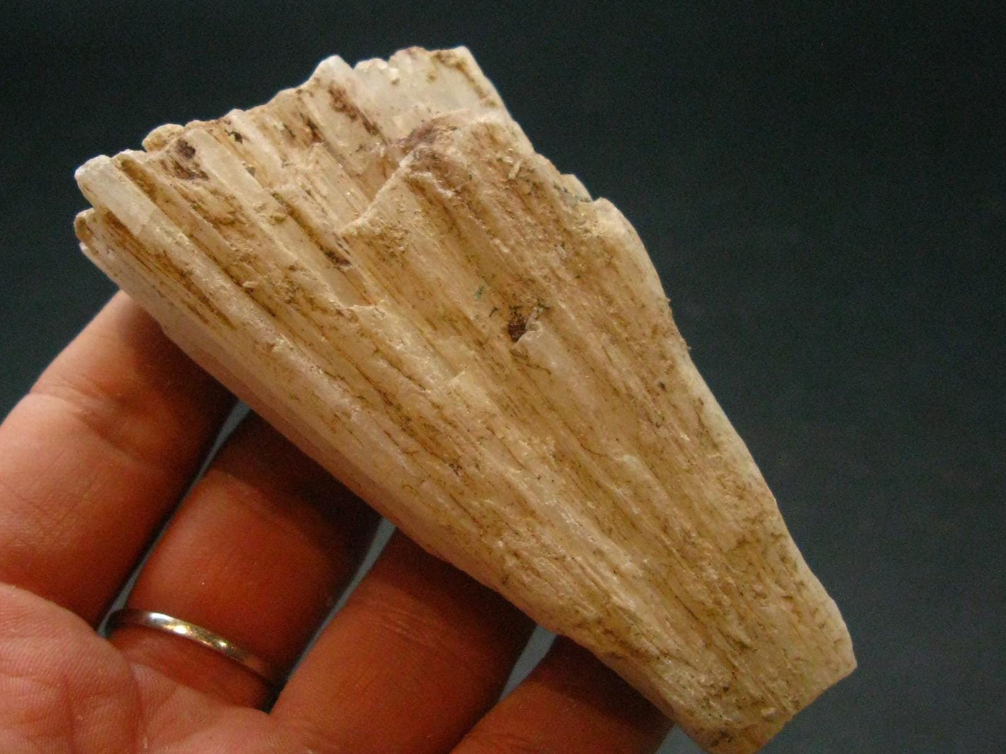 Scolecite Crystal From Namibia - 3.0" - 76.57 Grams