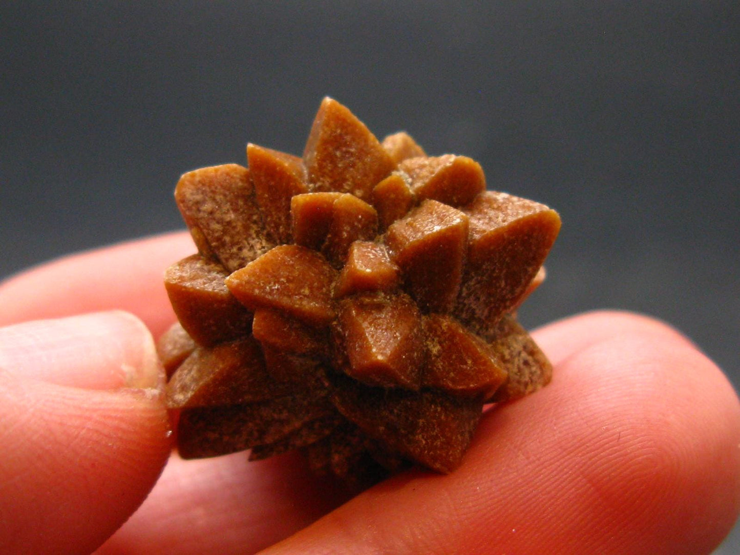 Glendonite (Ikaite after Calcite) Crystal From Russia - 1.0" - 9.0 Grams