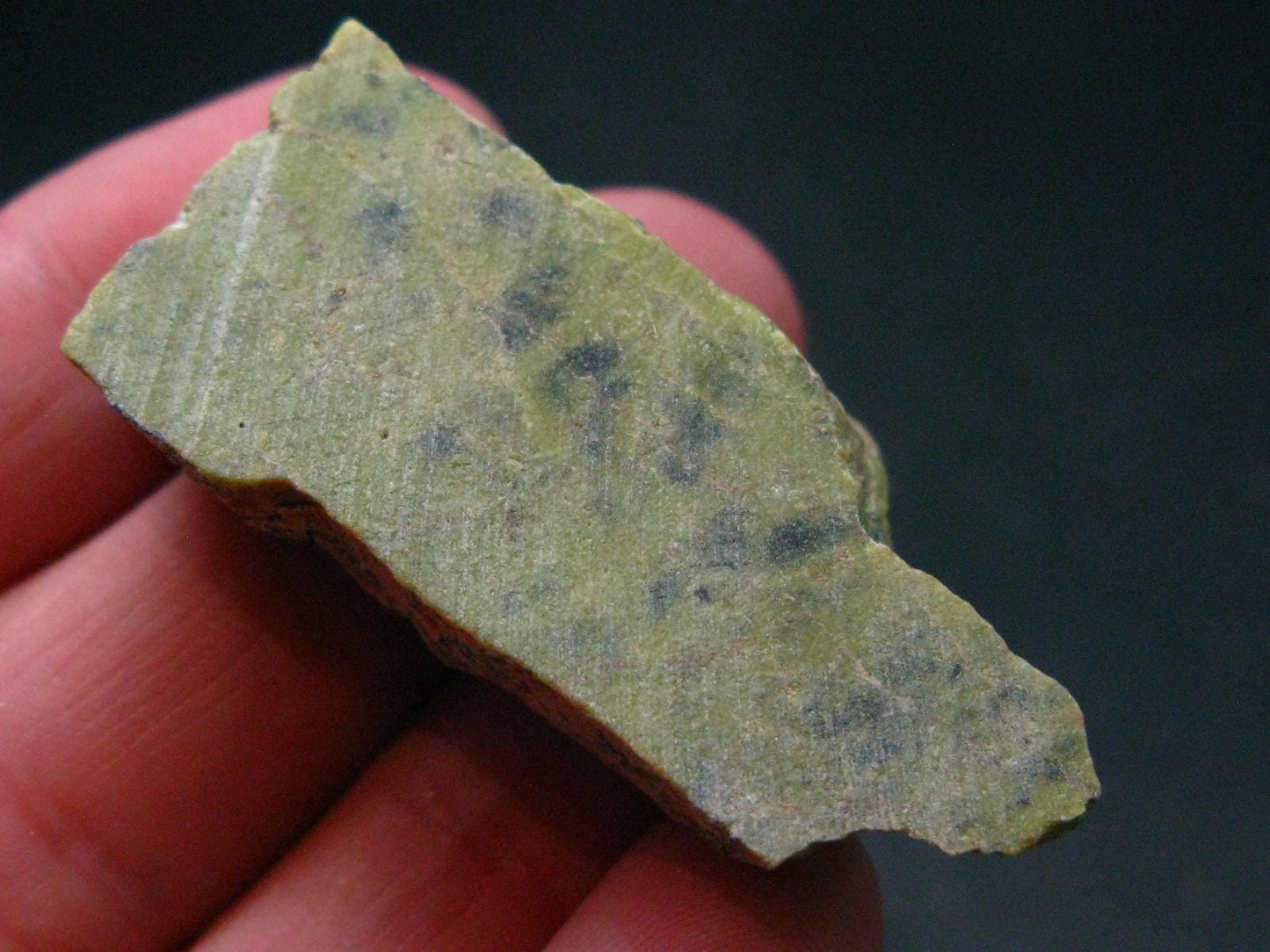 Rare Atlantasite Stichtite + Serpentine from Australia - 1.6"