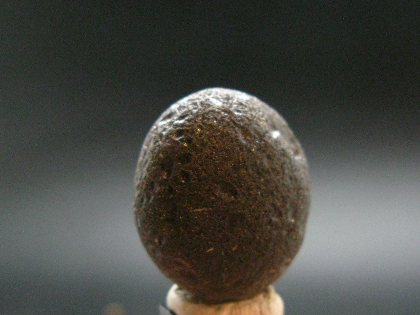 Colombianite Pseudotektite from Colombia - 11.25 Grams - 0.9"