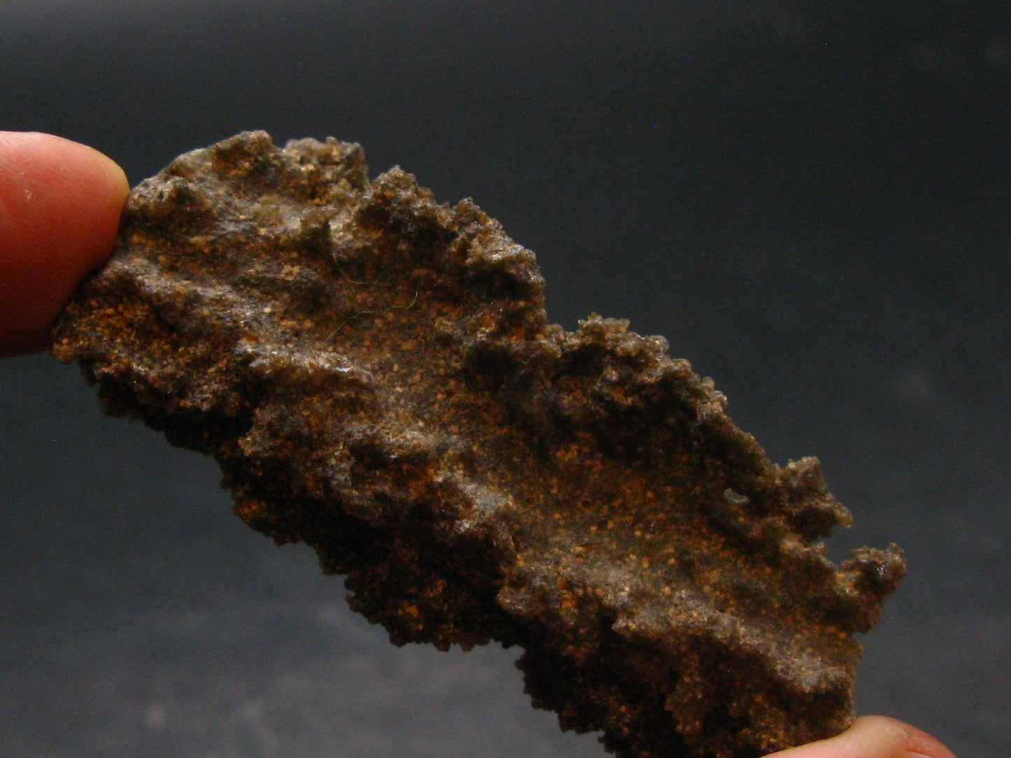 Large Fulgurite Lightning Rock From Sahara Desert - 2.2"