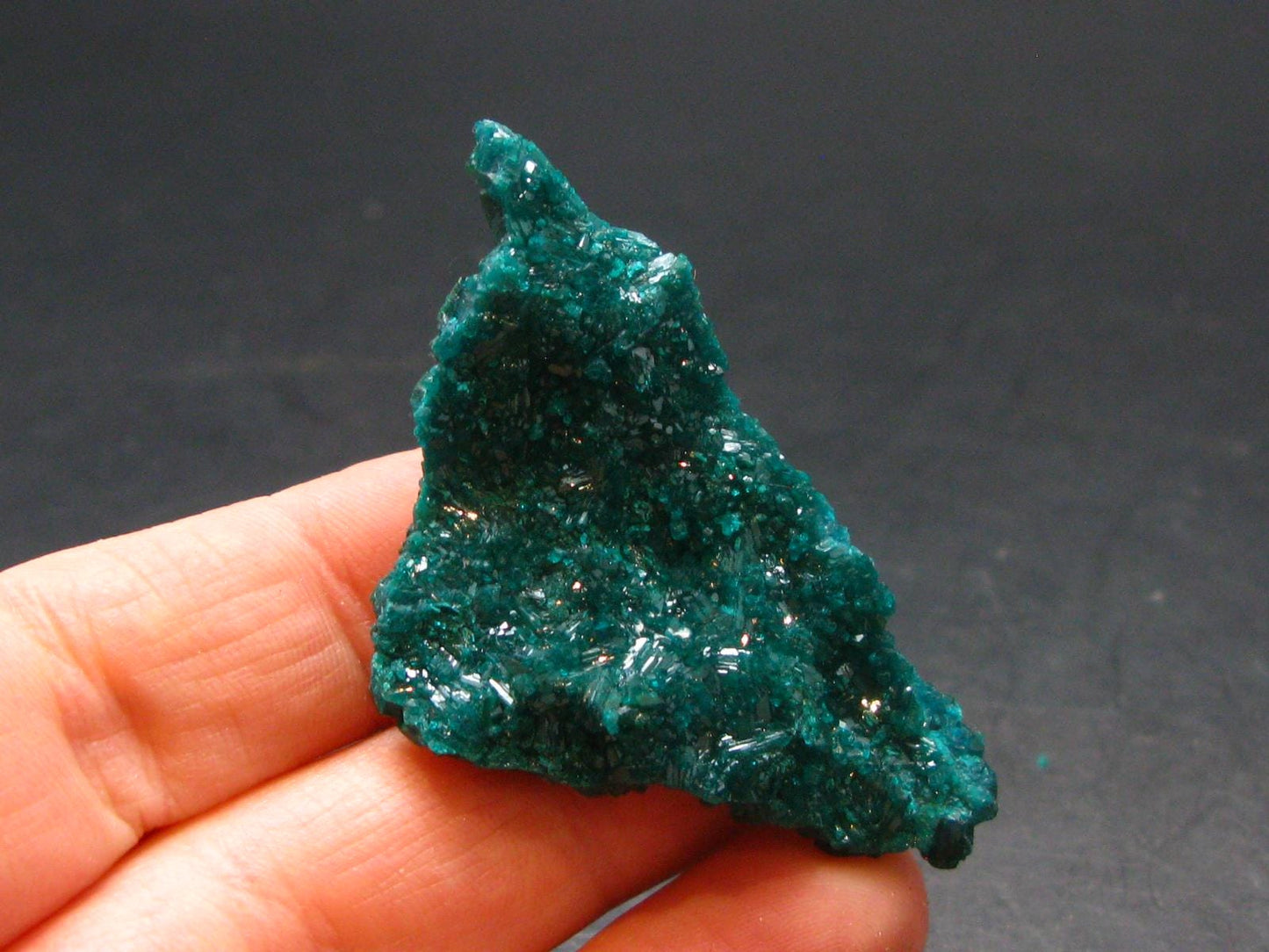 Very Nice Dioptase Cluster from Congo - 2.0" - 8.58 Grams