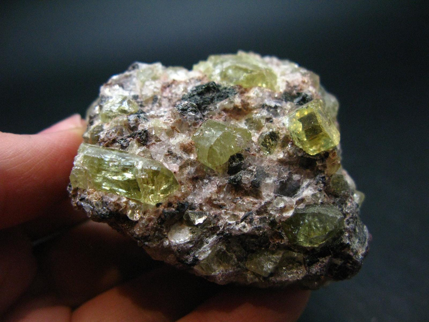 Large Gold Apatite Cluster from Mexico - 115.86 Grams - 2.2"