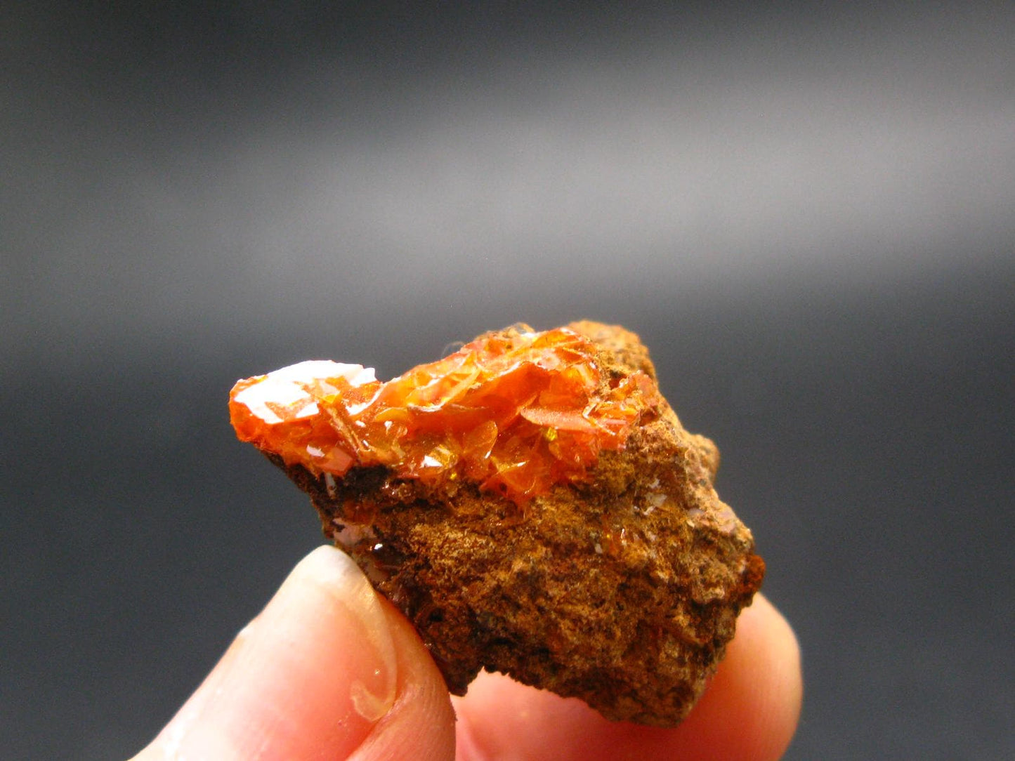 Wulfenite Cluster From Arizona - 1.2"