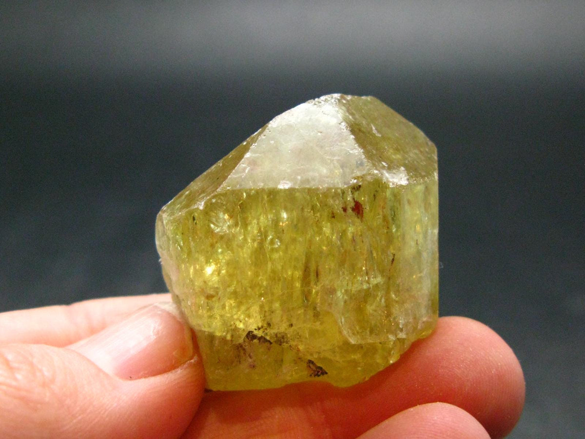 Large Gold Apatite Crysatl from Mexico - 46.35 Grams - 1.2"