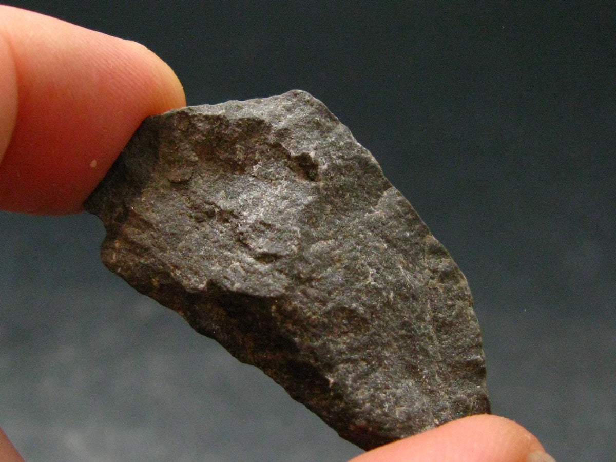 Rare Shammanite Shamanite Master Shamanite Raw Piece From USA - 1.4" - 16.68 Grams