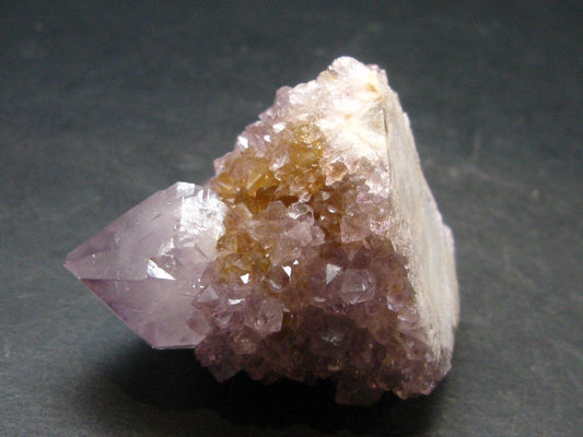 Fine Cactus Amethyst Spirit Quartz Crystal From South Africa - 1.5" - 56.82 Grams