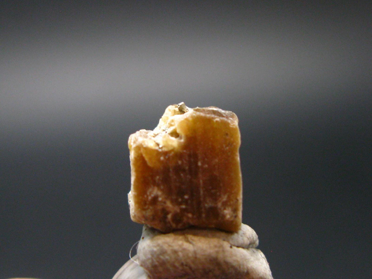 Rare Parisite Crystal From Colombia - 1.67 Grams - 0.3"