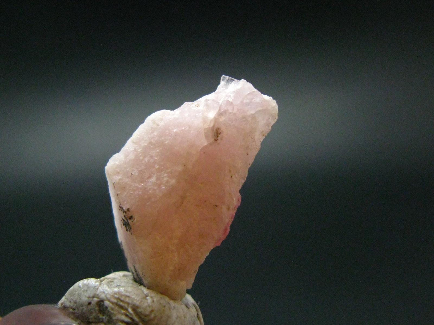 Rare Pezzottaite Crystal from Madagascar - 9.65 Carats - 0.7"