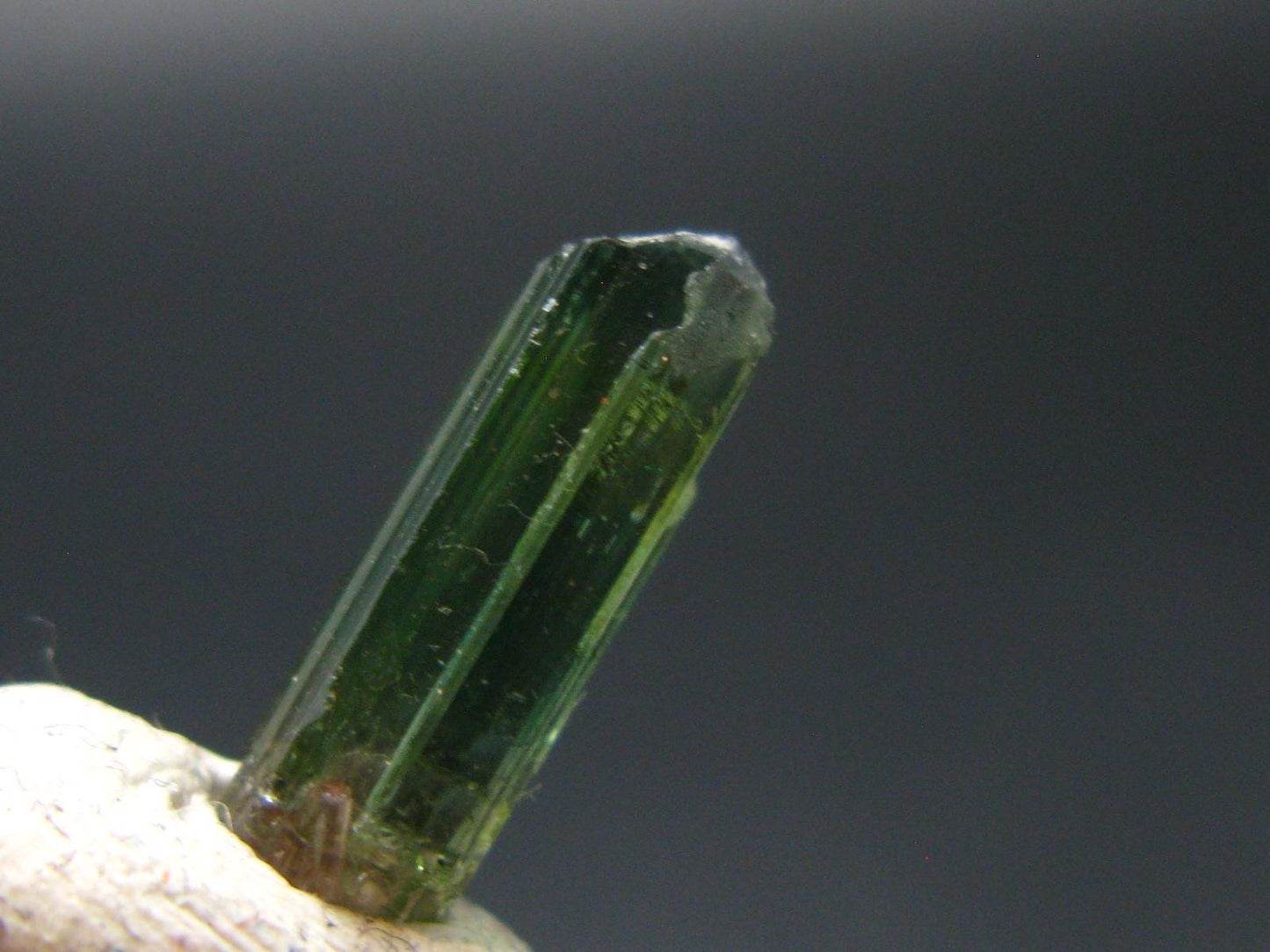 Rare Watermelon Tourmaline Crystal From Brazil - 0.5"