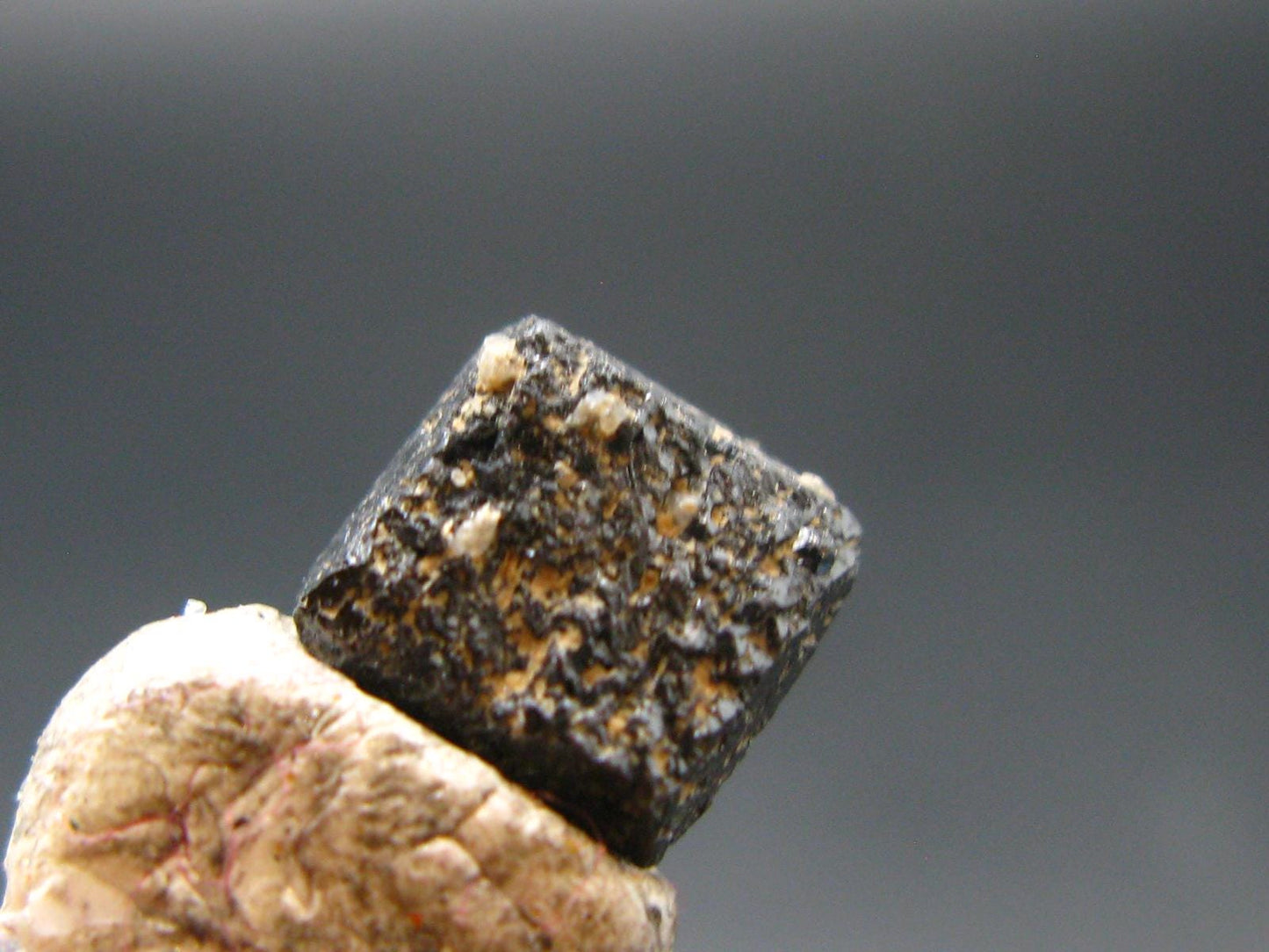 Large Brookite Crystal From Arkansas - 0.77 Grams - 8 mm