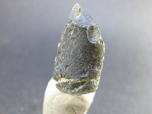 Moldavite Tektite Raw Piece from Czech Republic - 1.0" - 35.2 Carats - 7.0 Grams