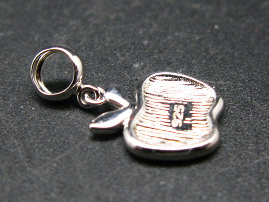4.56 Billion Years Old Meteorite!!. Muonionalusta Meteorite Apple Silver Pendant from Sweden - 0.8"