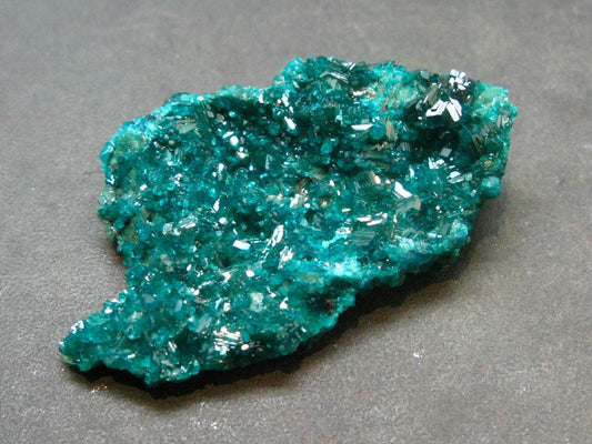 Very Nice Dioptase Cluster from Congo - 1.8" - 9.48 Grams