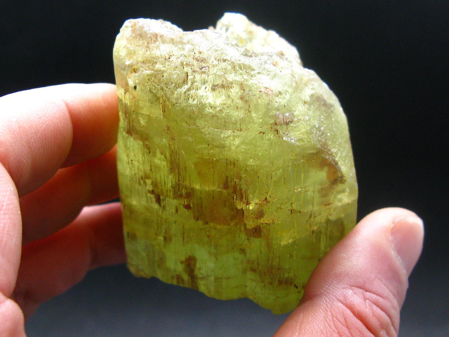 Gem Heliodor Golden Beryl Crystal From Tanzania - 243.63 Grams - 2.6"