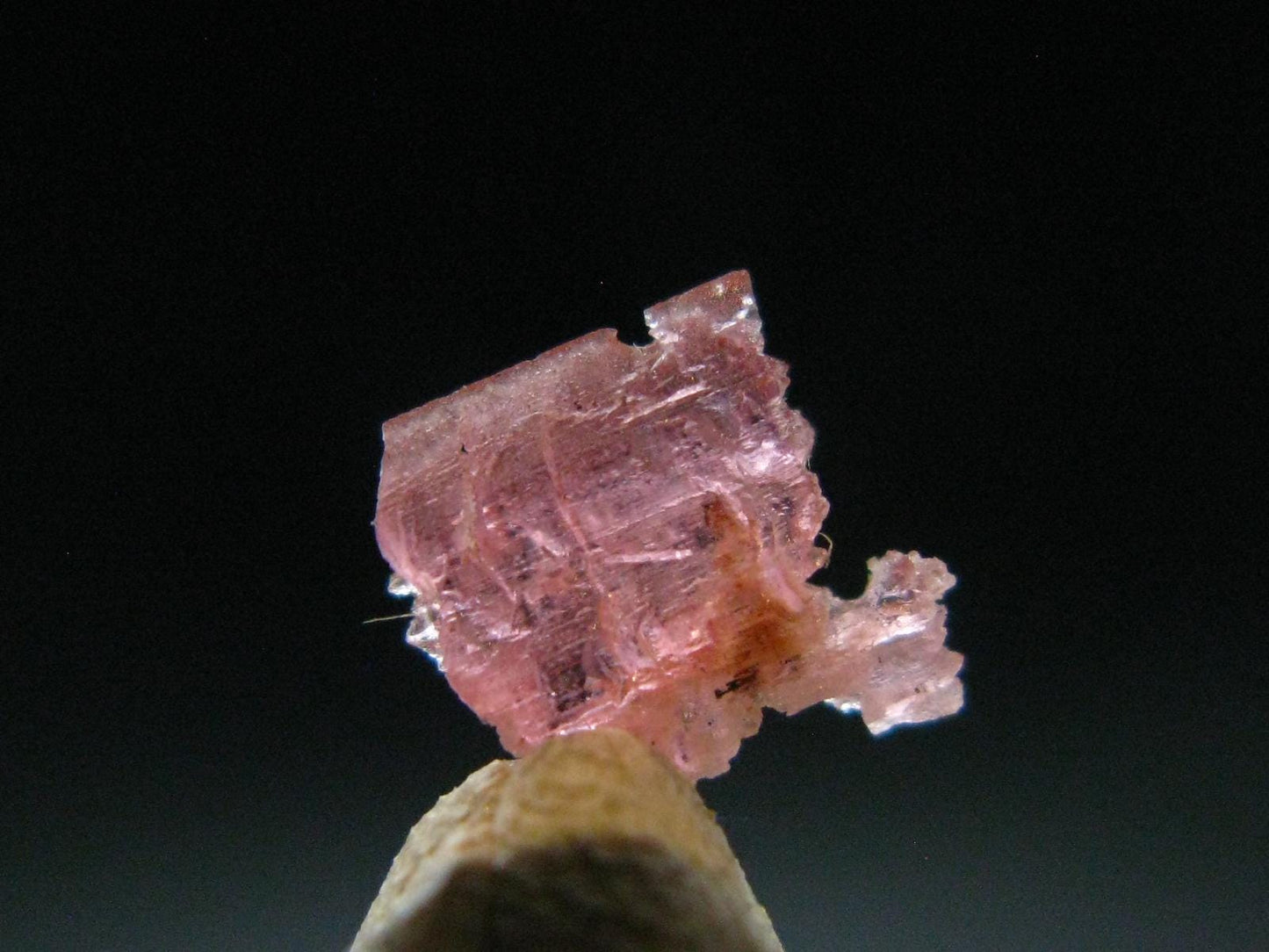 Rare Gem Vayrynenite Crystal From Pakistan - 0.7cm - 0.59 Carats