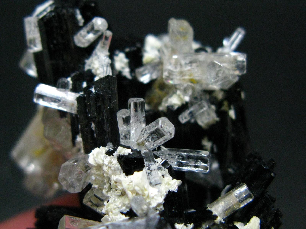 Clear Goshenite Beryl on Black Tourmaline Cluster From Namibia - 2.0" - 42.04 Grams