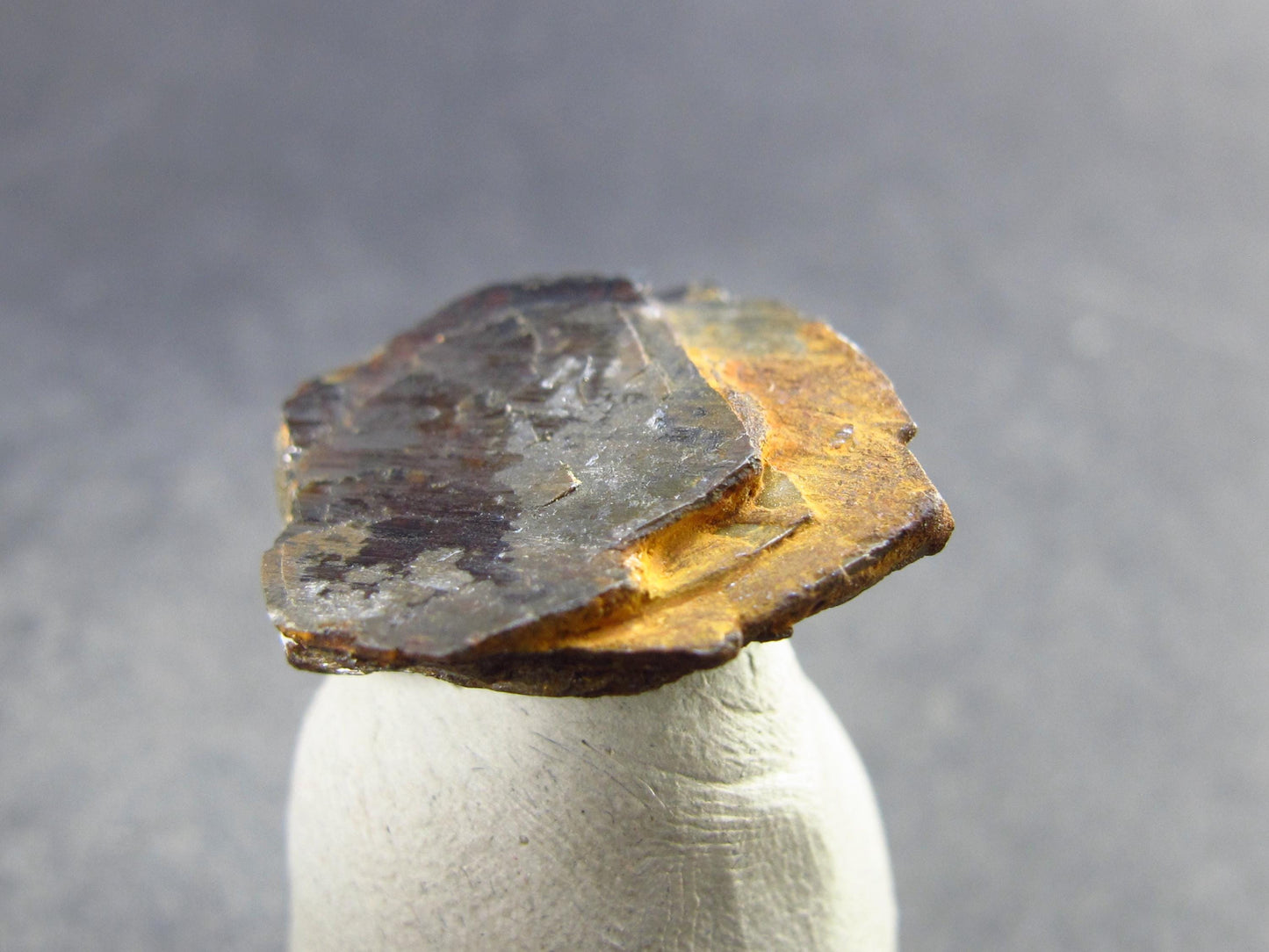 Large Brookite Crystal from Madagascar - 3.88 Grams - 0.8"