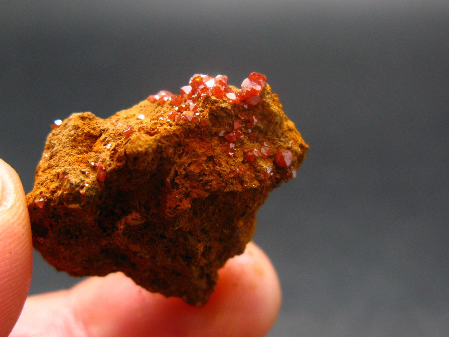 Wulfenite Cluster From Arizona - 1.0"