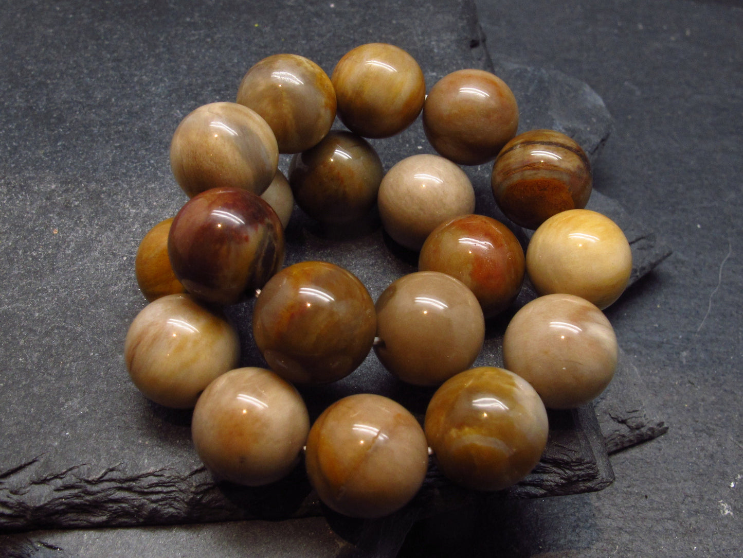 Petrified Wood Genuine Bracelet ~ 7 Inches ~ 10mm Round Beads