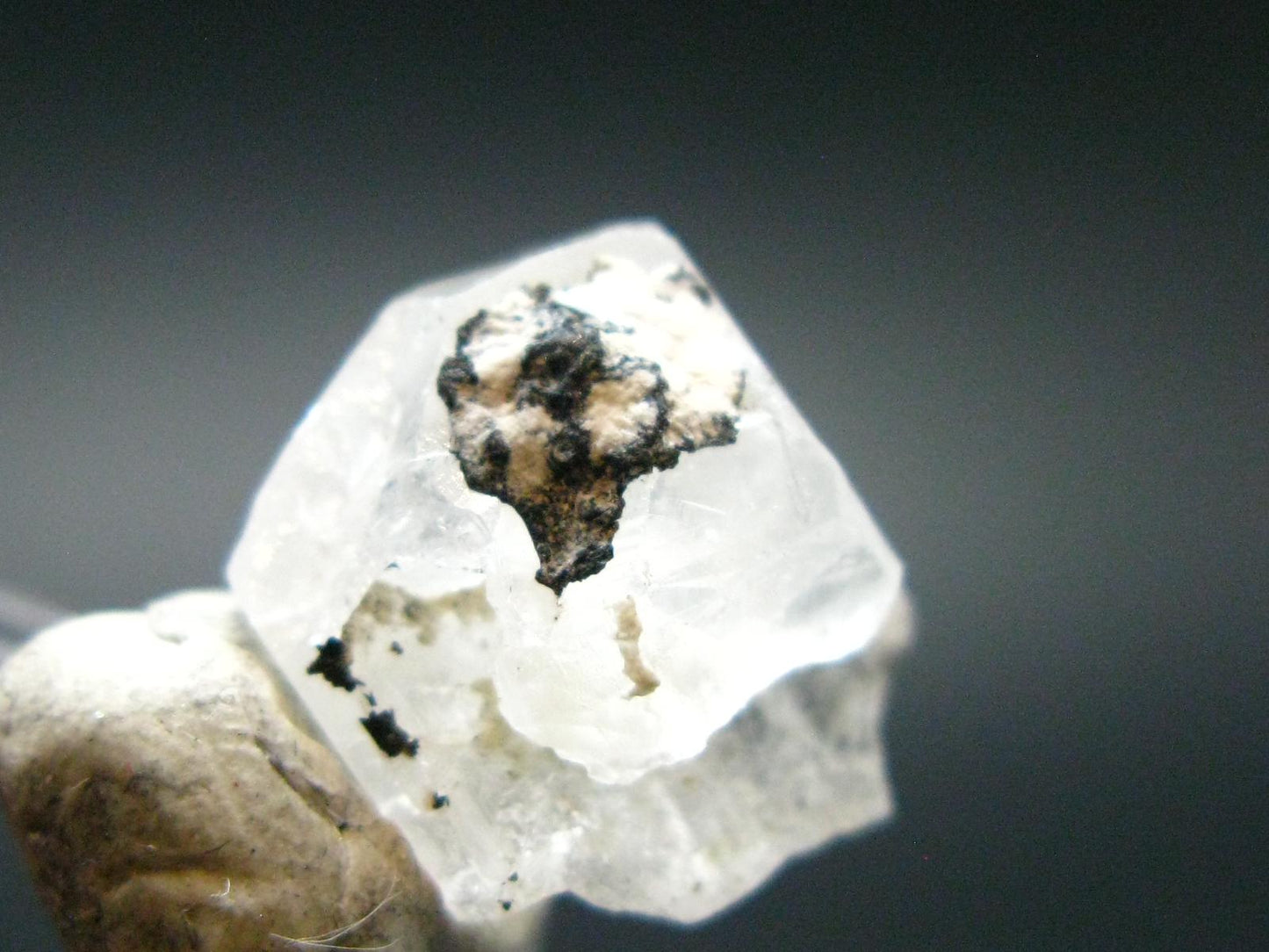 Rare Phenakite Phenacite Crystal from Madagascar - 13.45 Carats - 0.5"