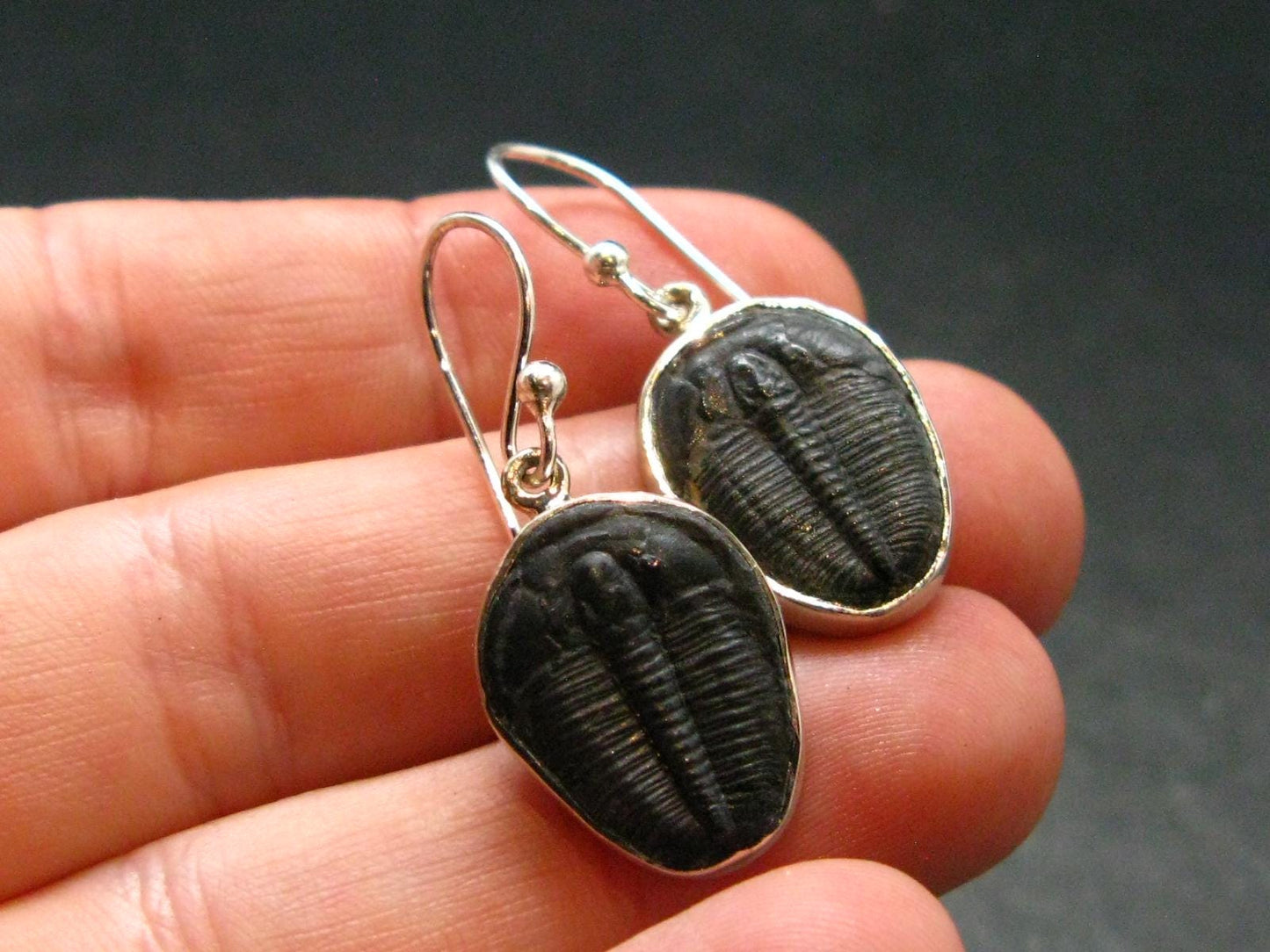 Trilobite Silver Earrings from USA - 1.3" - 3.76 Grams