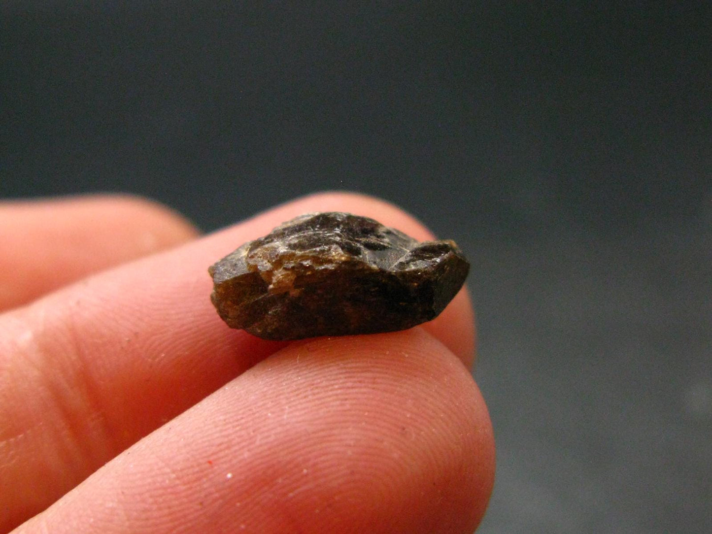 Rare Xenotime Crystal from Brazil - 0.5" - 0.92 Grams
