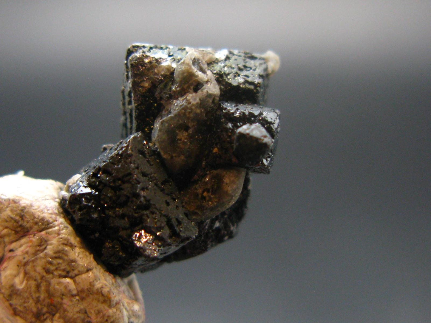 Large Brookite Crystal From Arkansas - 1.53 Grams - 16 mm