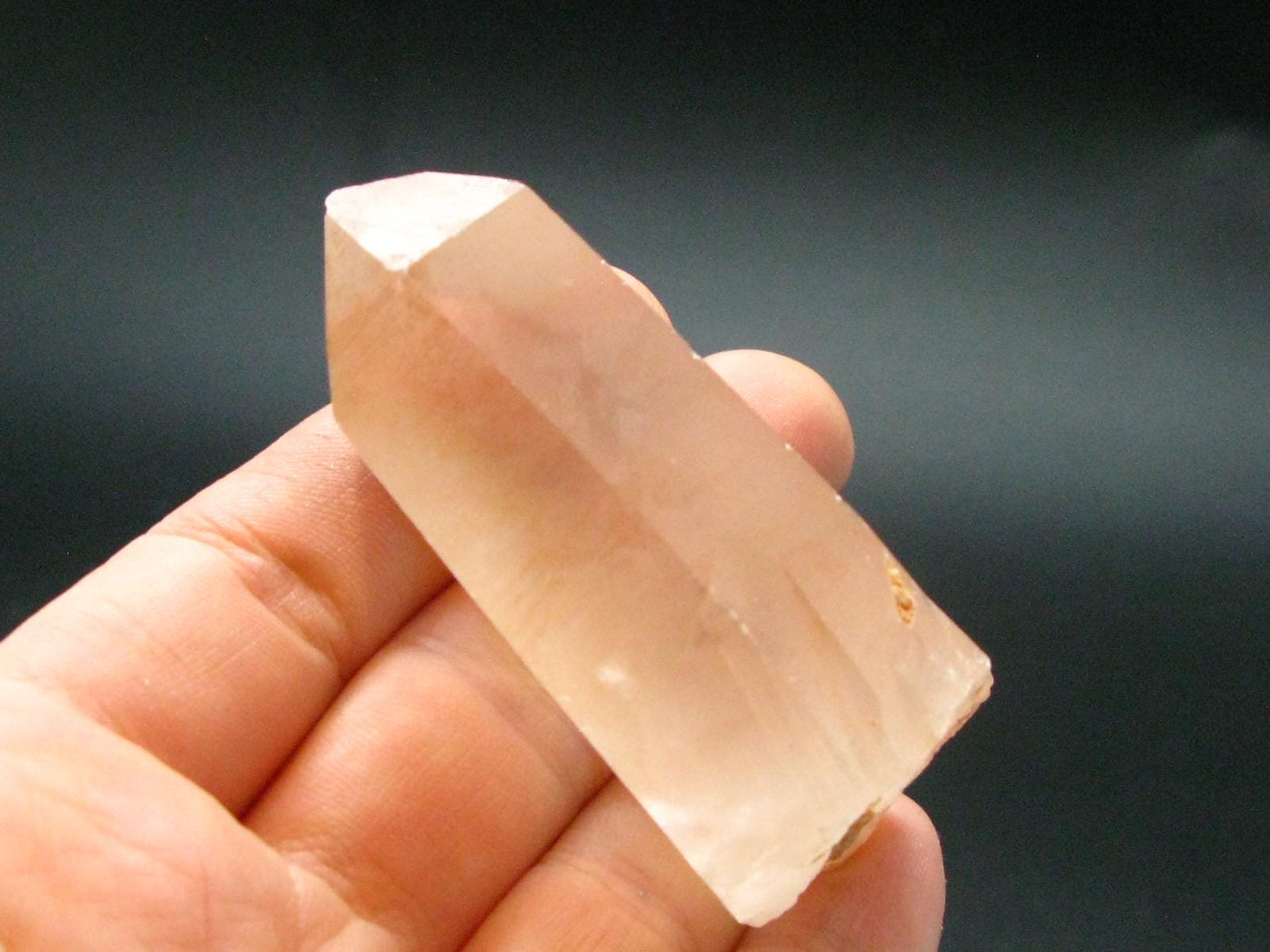 Large Lemurian Seed Quartz Crystal From Brazil - 2.5" - 50.04 Grams