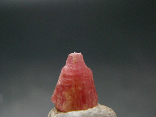 Rare Pezzottaite Crystal from Madagascar - 3.50 Carats - 0.4"