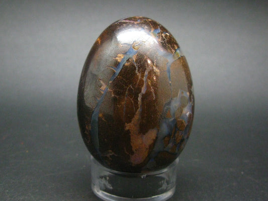 Super Rare Boulder Opal Egg from Australia - 2.3" - 145.2 Grams