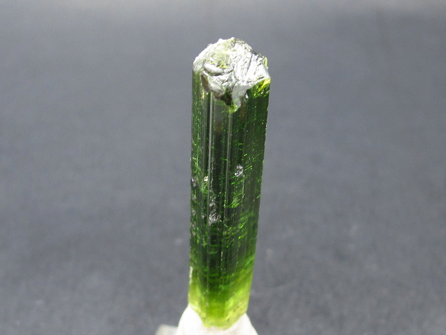 Green Tourmaline Crystal From Brazil - 1.7" - 36 Carats