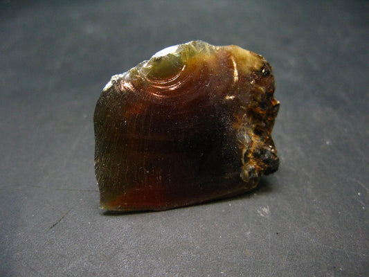 Rare Large Blue Amber Raw Piece Fluorescent From Indonesia - 1.5" - 8.34 Grams