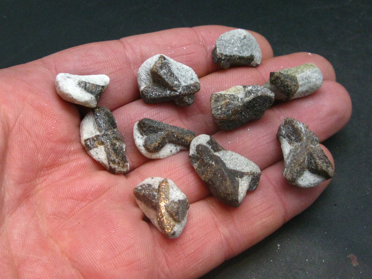 Lot of 10 Perfect Staurolite Crystals from Russia - 30 Grams