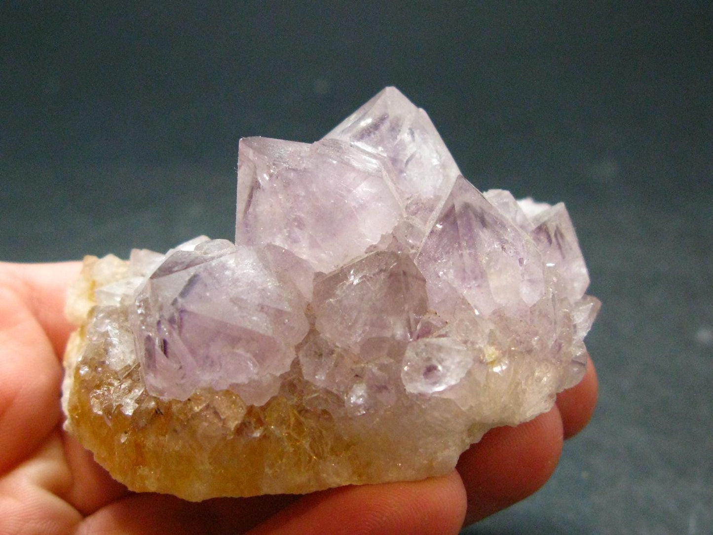 Fine Cactus Amethyst Spirit Quartz Crystal From South Africa - 2.6" - 94.49 Grams
