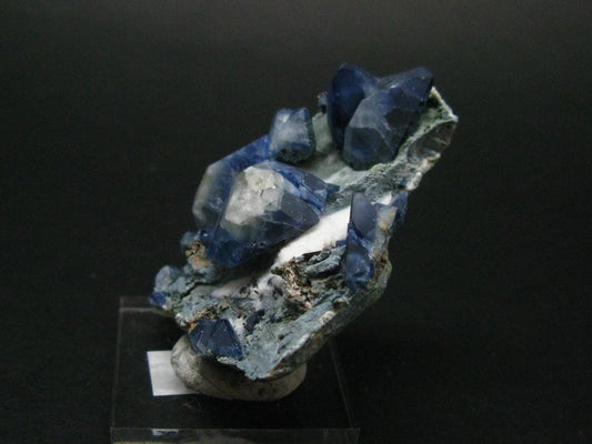 Museum Benitoite and Neptunite on Natrolite Cluster From California - 2.1"