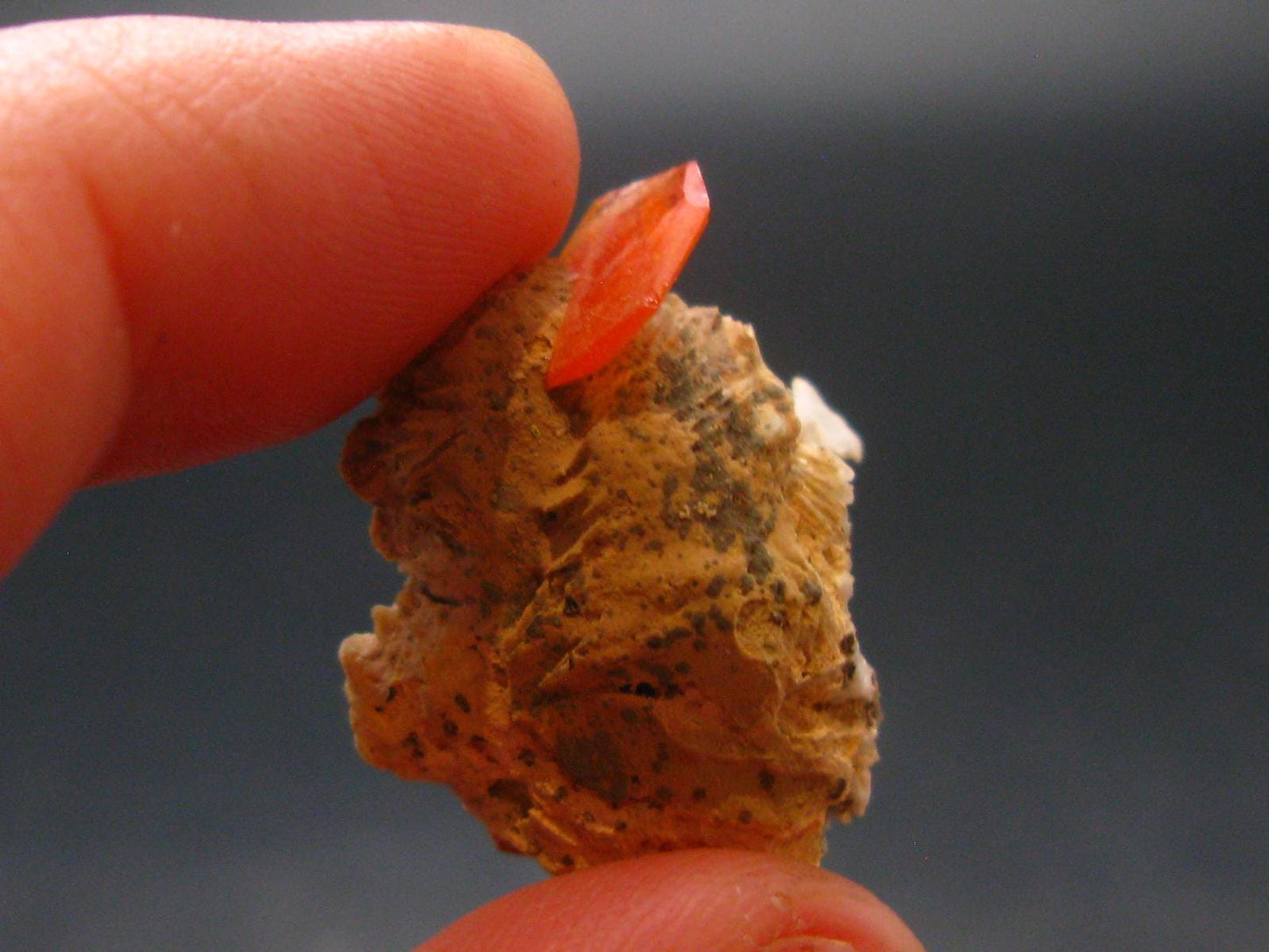 Wulfenite Cluster From Arizona - 1.0"