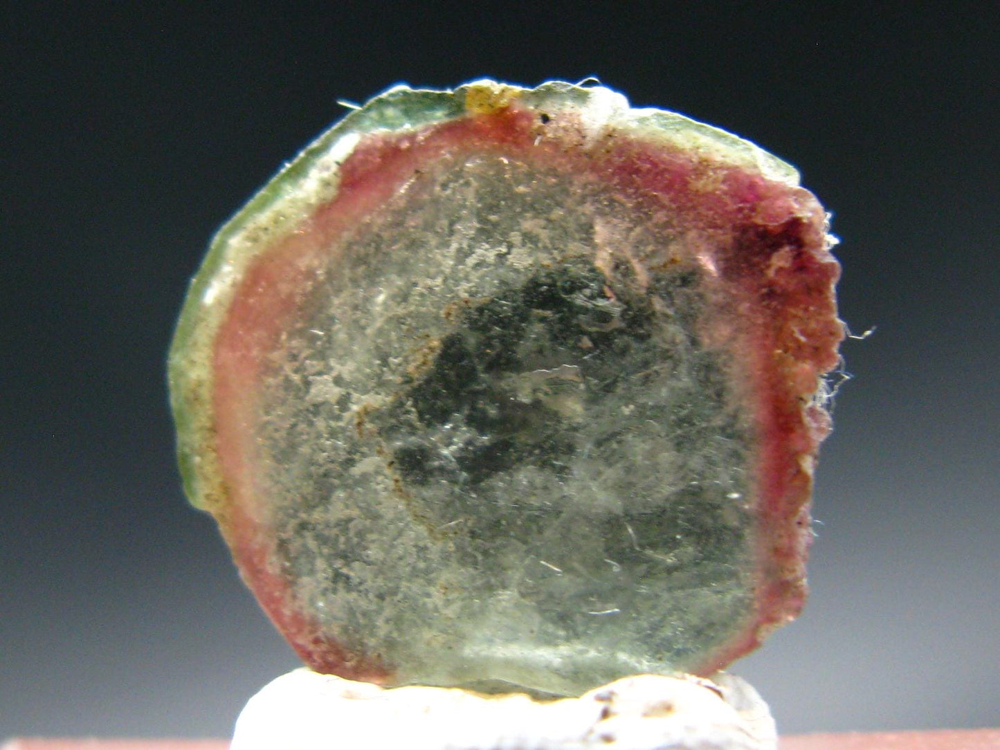 Rare Watermelon Tourmaline Crystal Slice From Brazil - 6.93 Carats