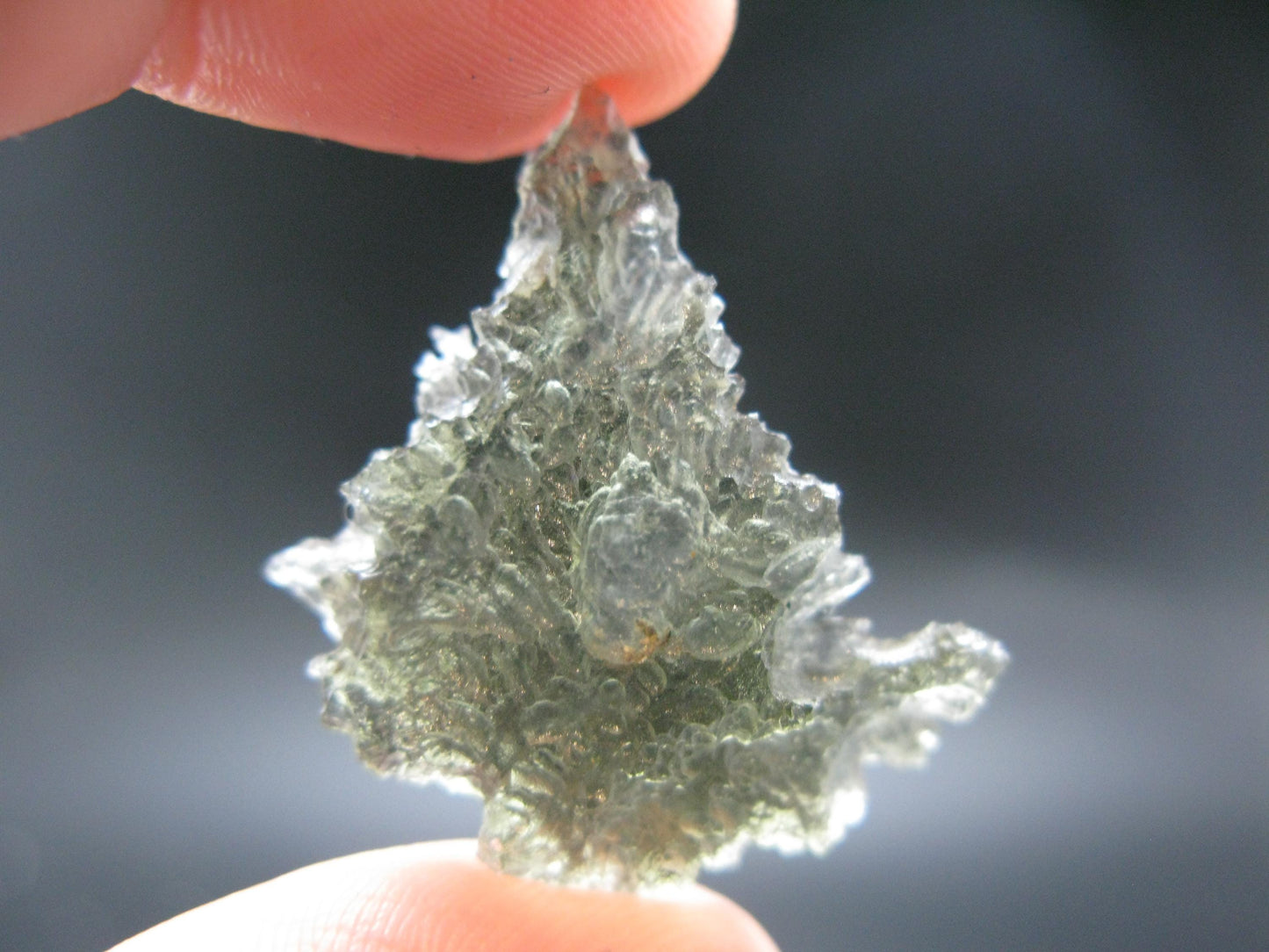 Besednice Moldavite Tektite Raw Piece from Czech Republic - 1.2" - 12.50 Carats