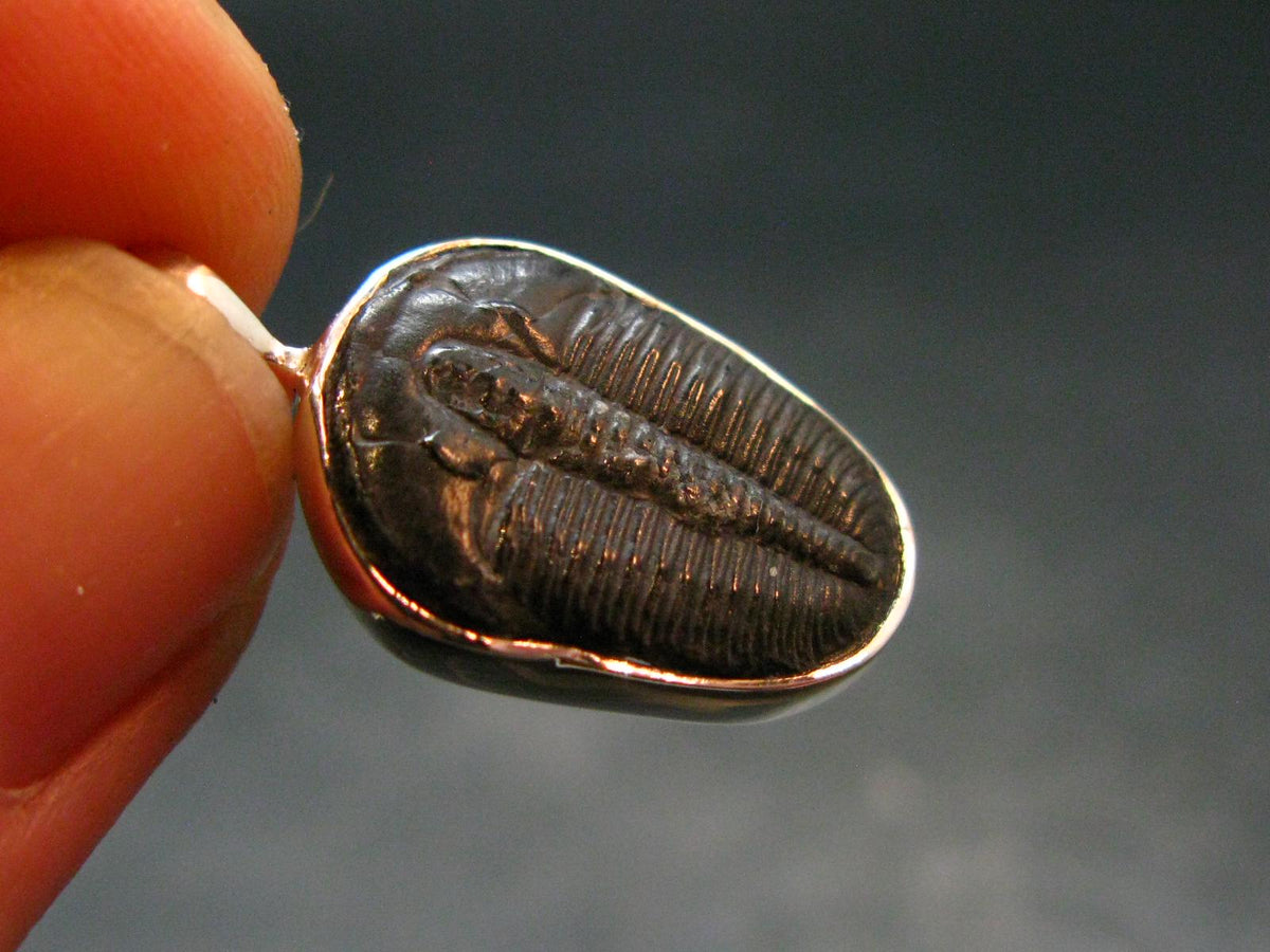 Trilobite Silver Pendant from USA - 1.0" - 1.77 Grams