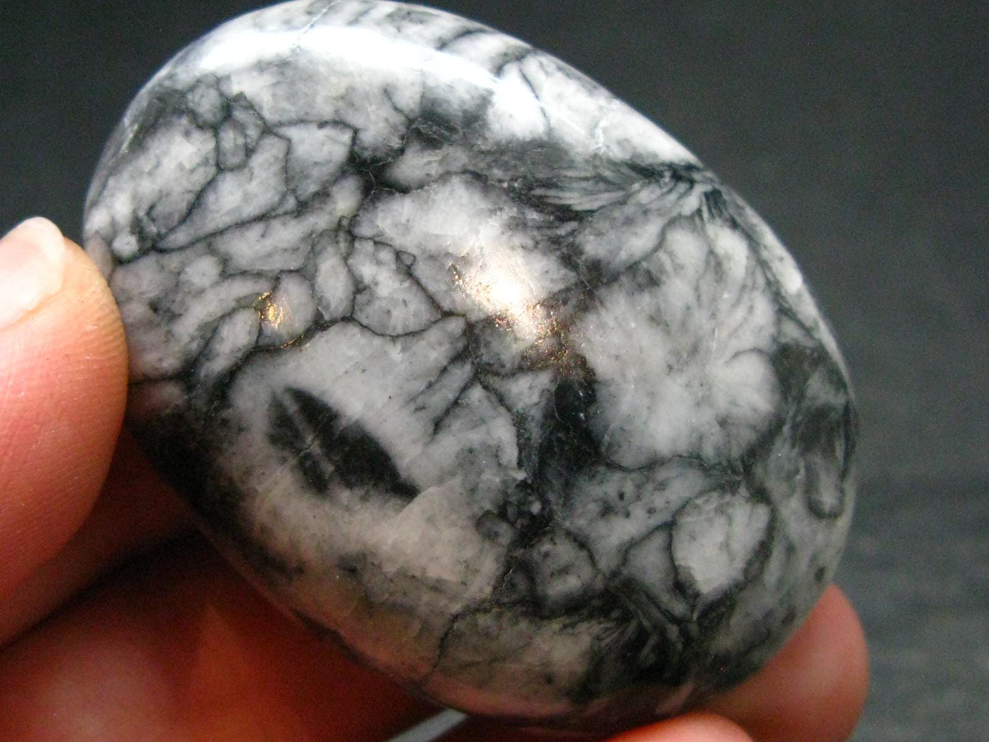 Pinolite Polished Stone from Austria - 1.9"