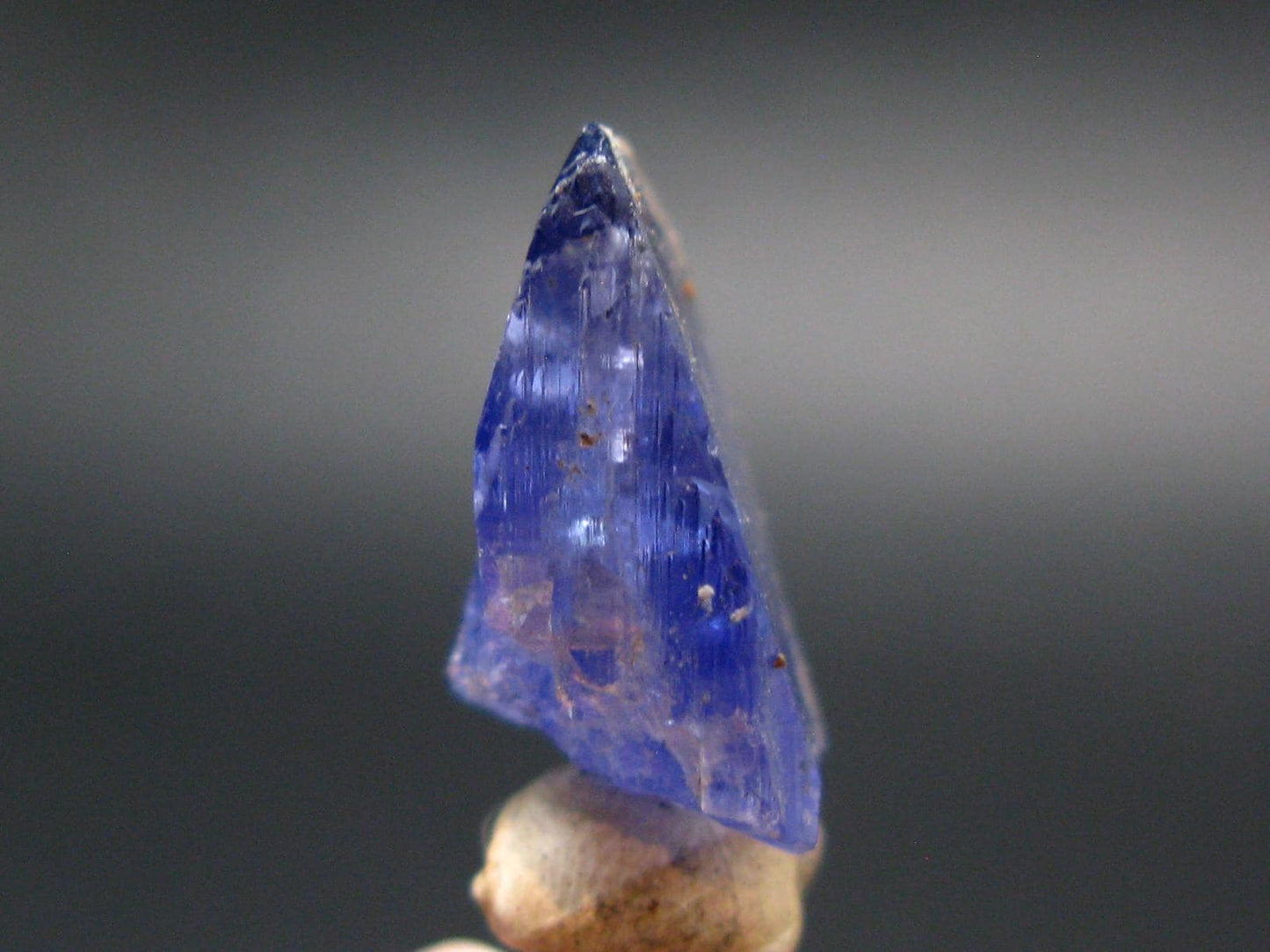Fine Gem Tanzanite Zoisite Crystal From Tanzania - 21.75 Carats - 0.8"