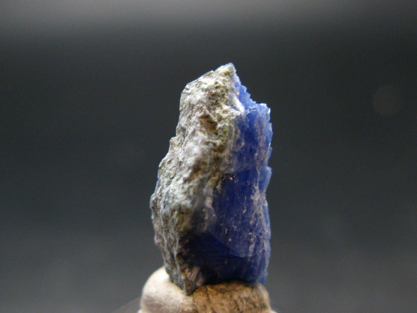 Fine Rare Carletonite Crystal From Mt. St. Hilaire Canada - 0.7" - 1.51 Grams