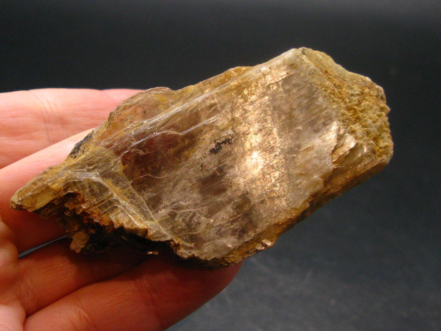 Gem Color Change Diaspore Crystal From Turkey - 3.0" - 42.13 Grams