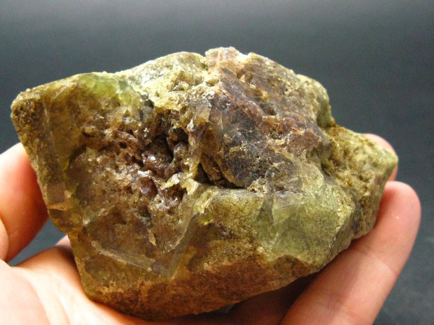 Large Vesuvianite Idocrase Crystal from Morocco - 3.0"